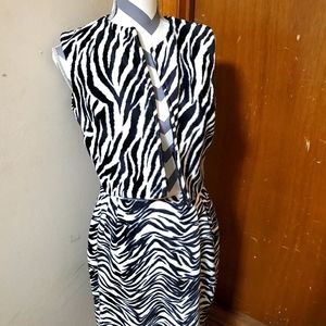 Velvet Zebra Print Skirt Set